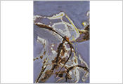 Peinture contemporaine par Marie-Claude Bohnenblust Lenglart Peintre Plasticien