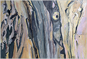 Peinture contemporaine par Marie-Claude Bohnenblust Lenglart Peintre Plasticien