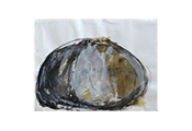 Peinture contemporaine par Marie-Claude Bohnenblust Lenglart Peintre Plasticien