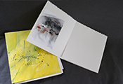 Peinture contemporaine par Marie-Claude Bohnenblust Lenglart Peintre Plasticien
