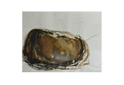 Peinture contemporaine par Marie-Claude Bohnenblust Lenglart Peintre Plasticien