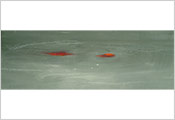 Peinture contemporaine par Marie-Claude Bohnenblust Lenglart Peintre Plasticien